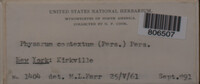 Image Associated With the Occurence